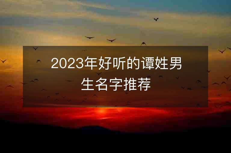 2023年好聽的譚姓男生名字推薦