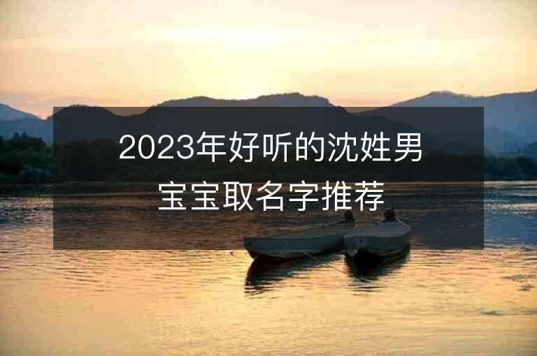 2023年好聽的沈姓男寶寶取名字推薦