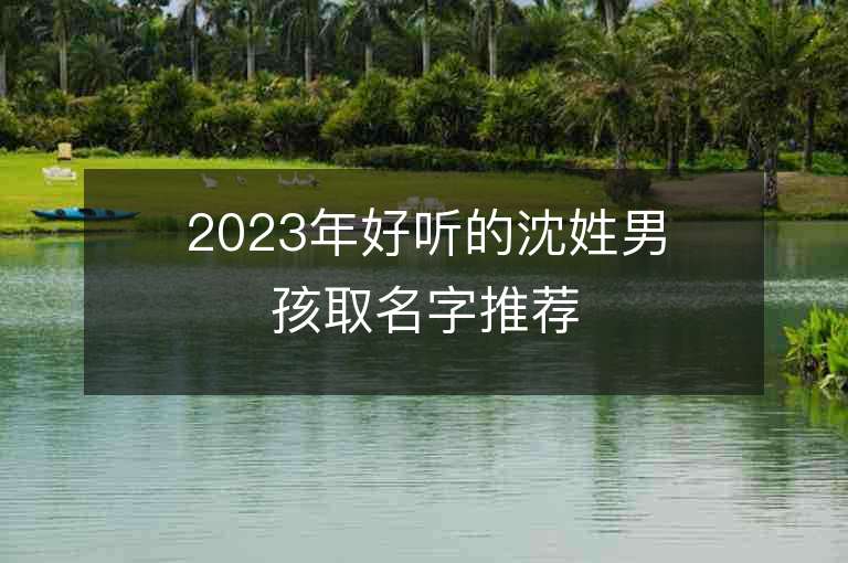 2023年好聽的沈姓男孩取名字推薦