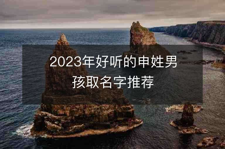 2023年好聽的申姓男孩取名字推薦