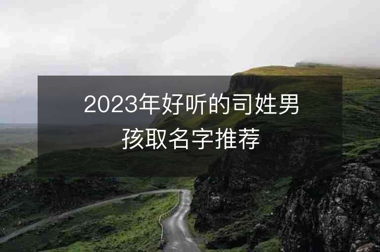 2023年好聽的司姓男孩取名字推薦