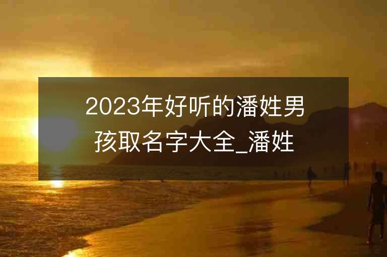 2023年好聽的潘姓男孩取名字大全_潘姓男孩子名字大全2023起名