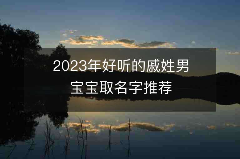 2023年好聽的戚姓男寶寶取名字推薦