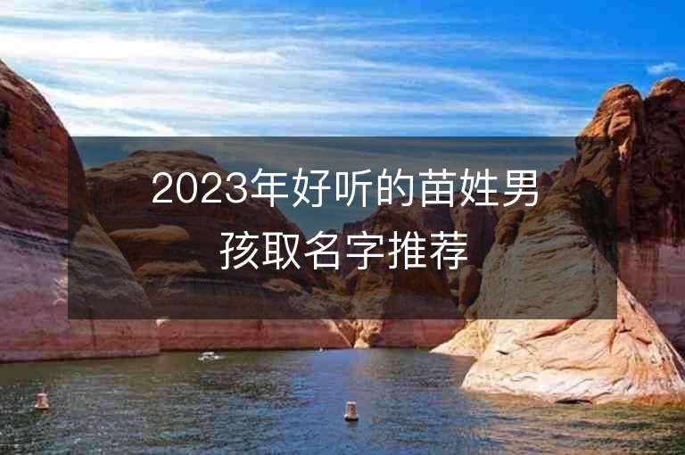 2023年好聽的苗姓男孩取名字推薦