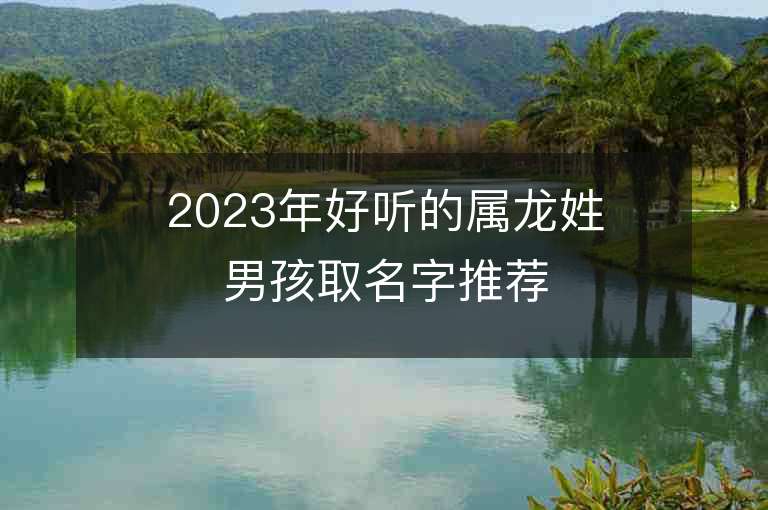 2023年好聽的屬龍姓男孩取名字推薦