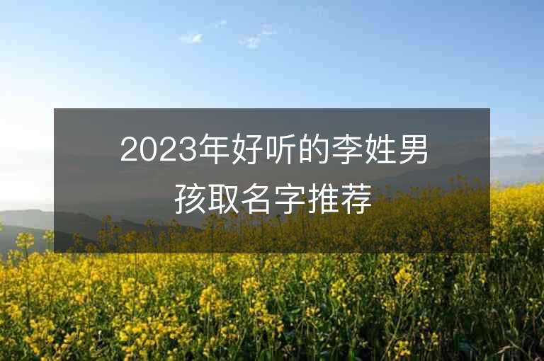 2023年好聽(tīng)的李姓男孩取名字推薦