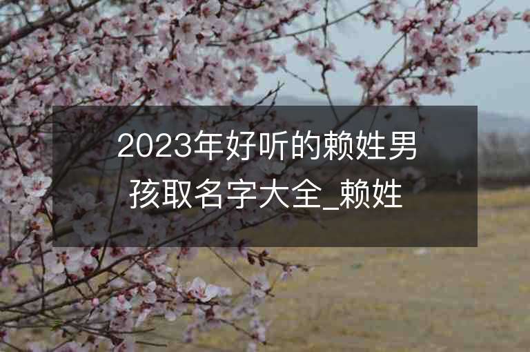 2023年好聽的賴姓男孩取名字大全_賴姓男孩子好聽的名字2023起名