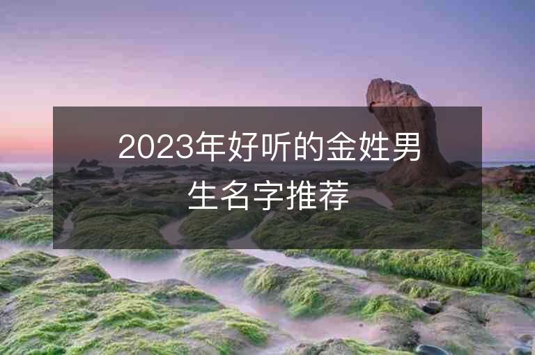 2023年好聽的金姓男生名字推薦