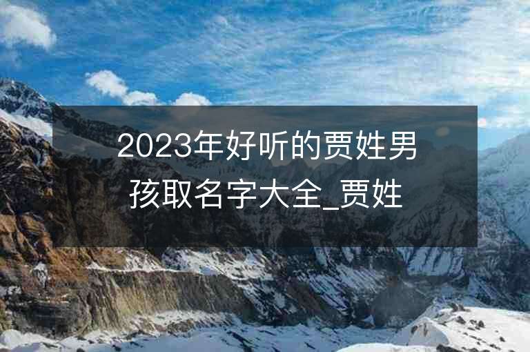 2023年好聽的賈姓男孩取名字大全_賈姓男孩子名字大全2023起名