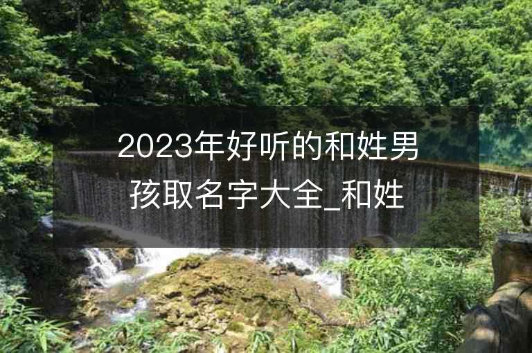 2023年好聽的和姓男孩取名字大全_和姓男孩子名字大全2023起名