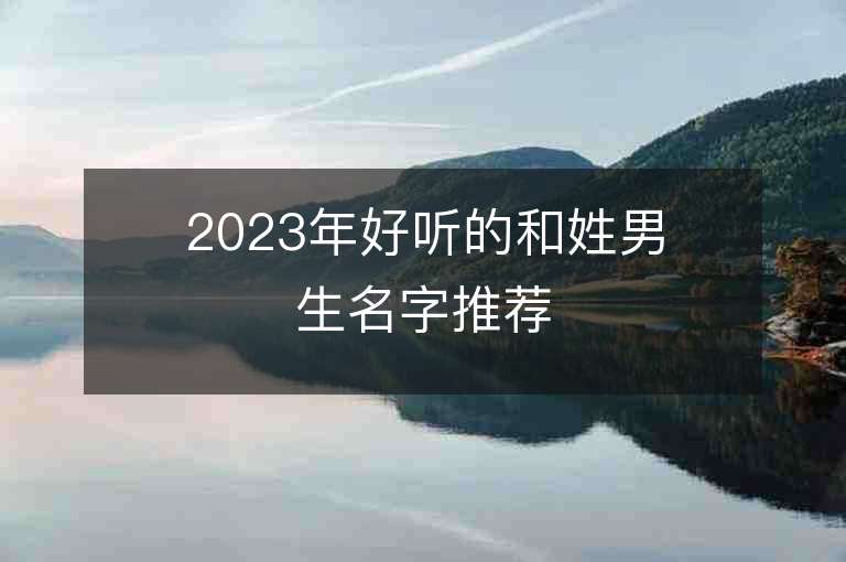 2023年好聽的和姓男生名字推薦