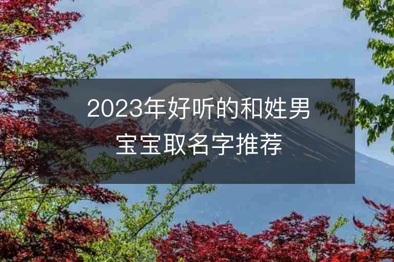 2023年好聽的和姓男寶寶取名字推薦