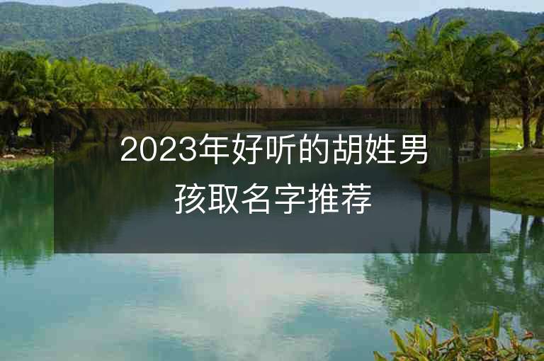 2023年好聽的胡姓男孩取名字推薦