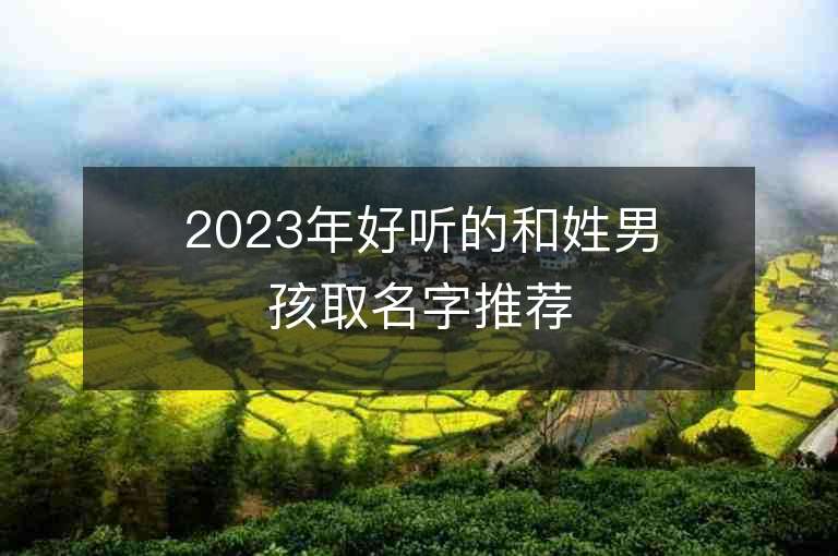 2023年好聽的和姓男孩取名字推薦