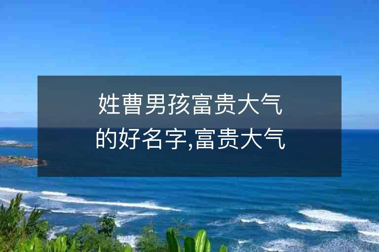 姓曹男孩富貴大氣的好名字,富貴大氣的曹姓男孩子名字