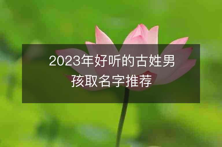 2023年好聽的古姓男孩取名字推薦