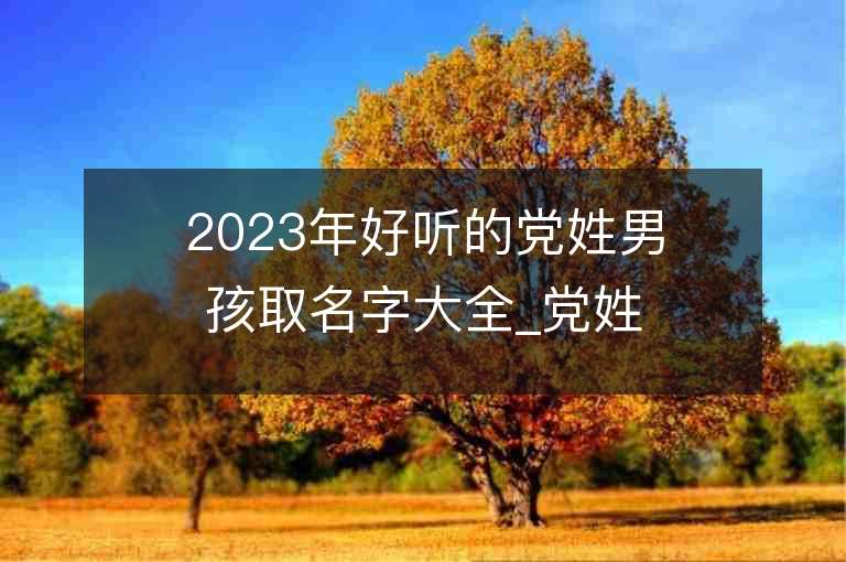 2023年好聽的黨姓男孩取名字大全_黨姓男孩子名字大全2023起名