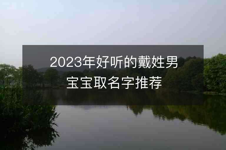 2023年好聽的戴姓男寶寶取名字推薦