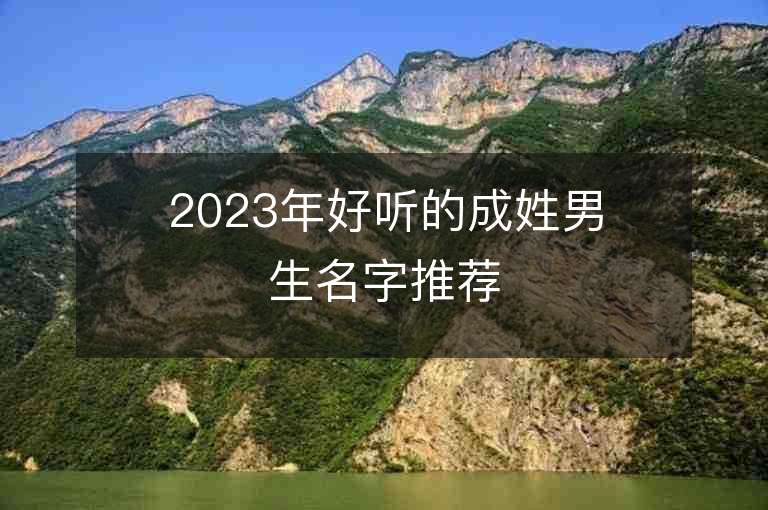 2023年好聽的成姓男生名字推薦