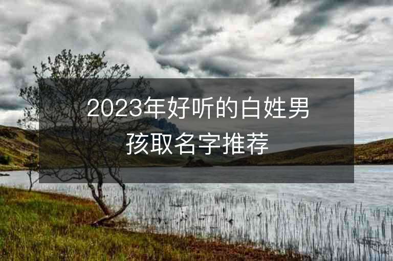 2023年好聽的白姓男孩取名字推薦