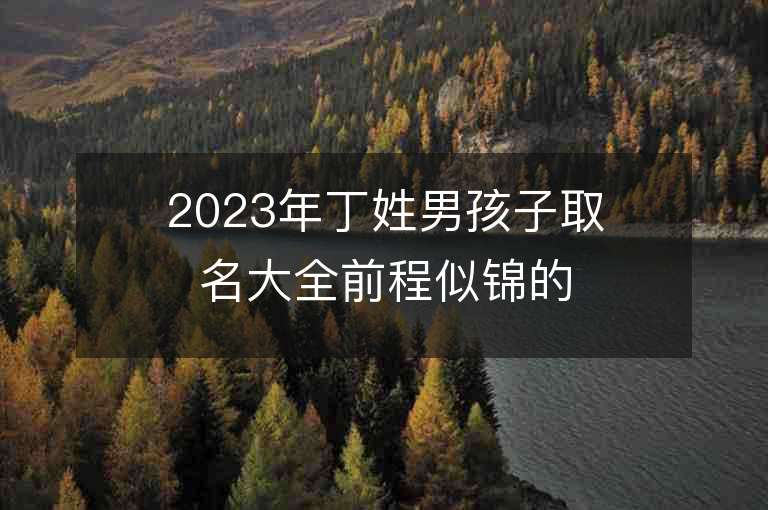 2023年丁姓男孩子取名大全前程似錦的丁氏男寶寶取名字推薦