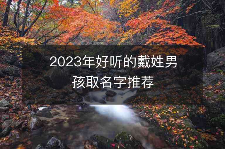 2023年好聽的戴姓男孩取名字推薦