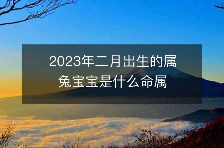 2023年二月出生的屬兔寶寶是什么命屬兔的女生起名大全