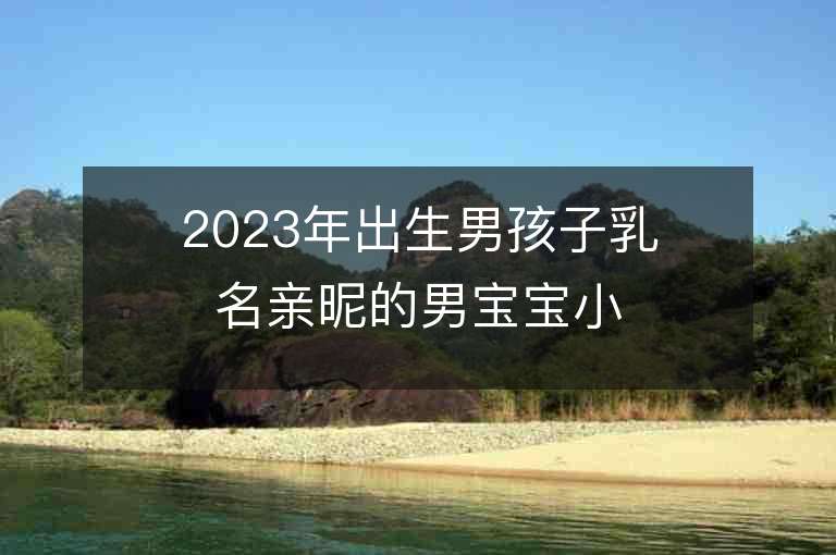 2023年出生男孩子乳名親昵的男寶寶小名推薦