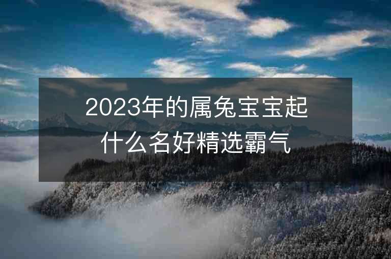 2023年的屬兔寶寶起什么名好精選霸氣男生名字推薦