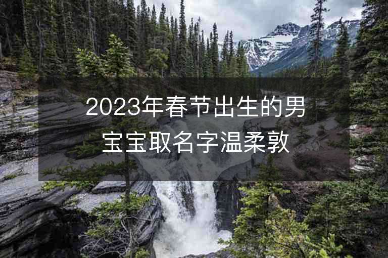 2023年春節出生的男寶寶取名字溫柔敦厚睿智聰明的男孩取名字推薦