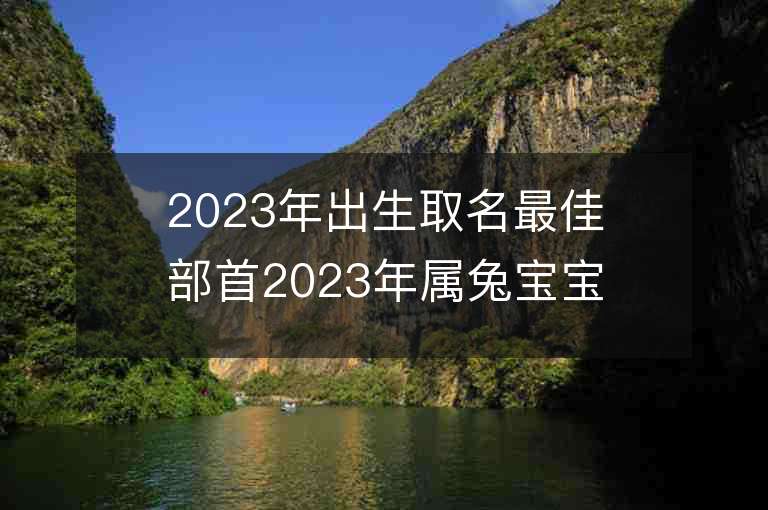 2023年出生取名最佳部首2023年屬兔寶寶起名