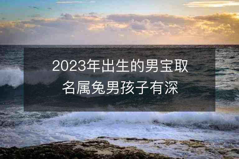 2023年出生的男寶取名屬兔男孩子有深意的名字推薦