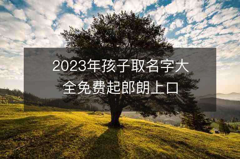 2023年孩子取名字大全免費起郎朗上口的好名