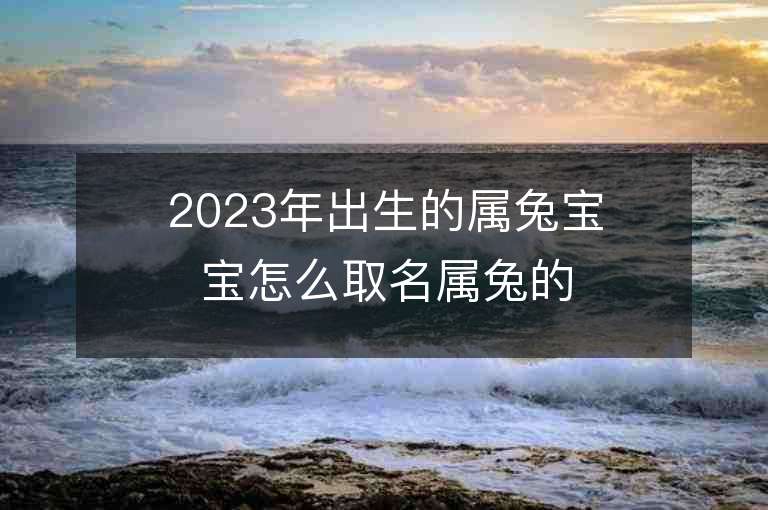 2023年出生的屬兔寶寶怎么取名屬兔的人起什么名字最好