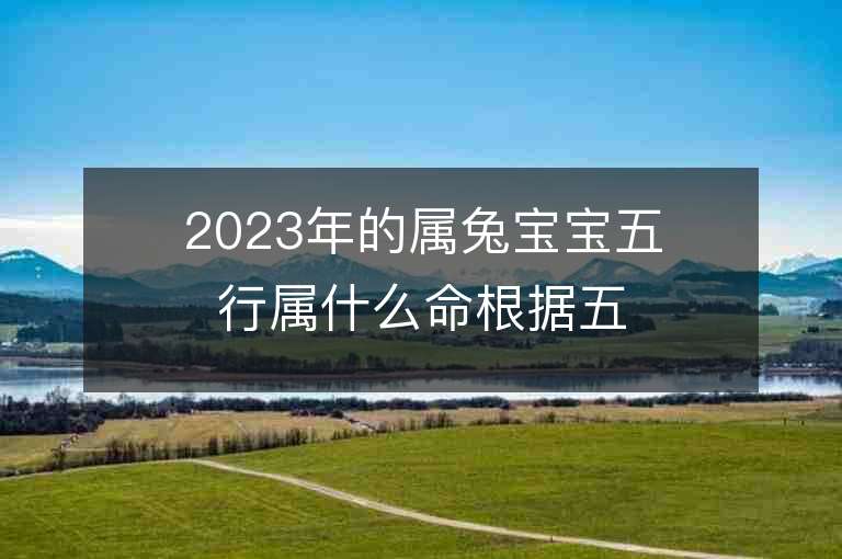 2023年的屬兔寶寶五行屬什么命根據(jù)五行取名推薦