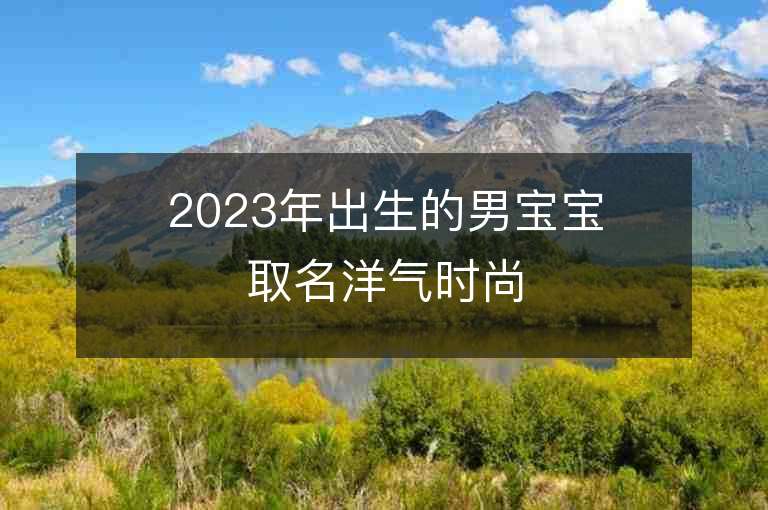 2023年出生的男寶寶取名洋氣時尚