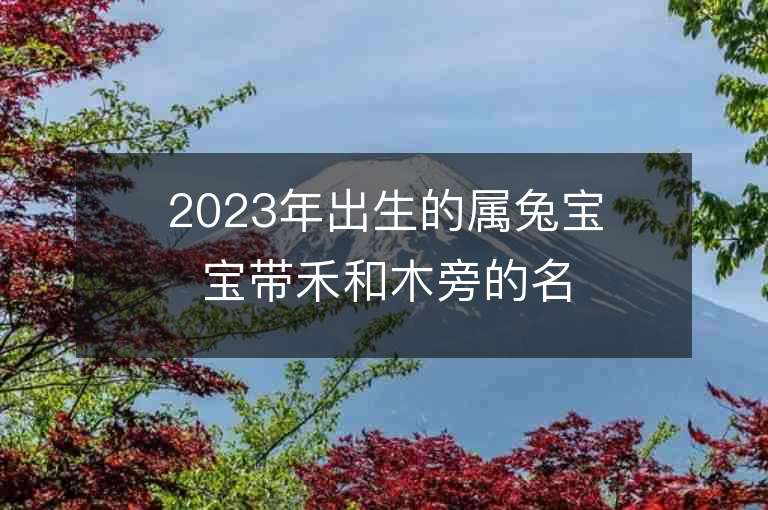 2023年出生的屬兔寶寶帶禾和木旁的名字充滿希望的男孩子名