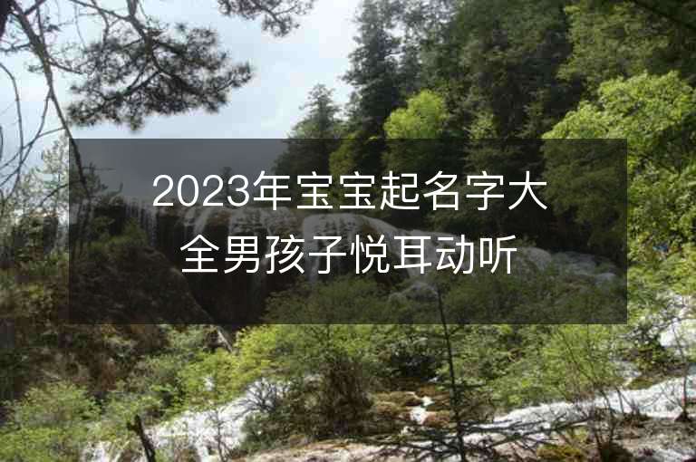 2023年寶寶起名字大全男孩子悅耳動聽的男寶寶取名推薦