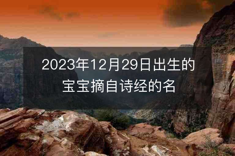 2023年12月29日出生的寶寶摘自詩經的名字文藝氣息的女生名字精選