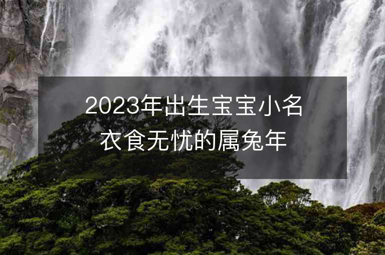 2023年出生寶寶小名衣食無憂的屬兔年小孩乳名