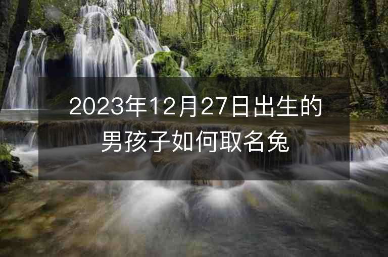 2023年12月27日出生的男孩子如何取名兔寶寶如何取名推薦