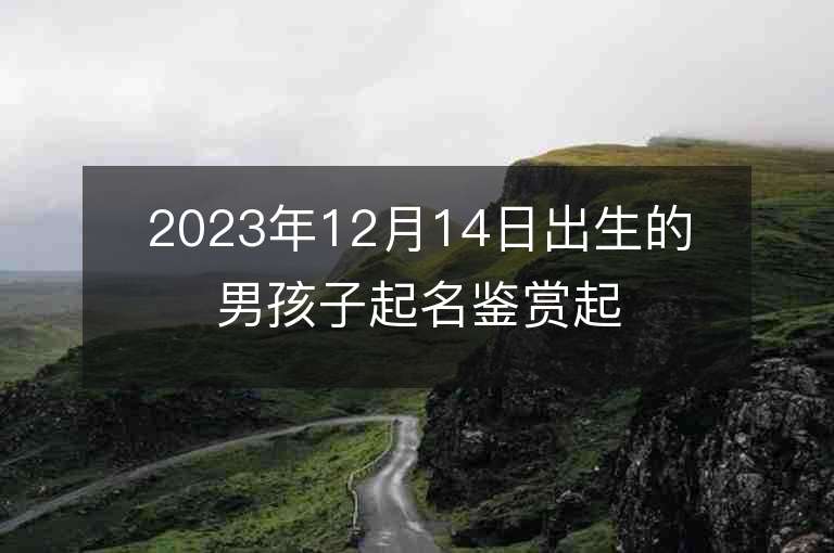 2023年12月14日出生的男孩子起名鑒賞起名大全