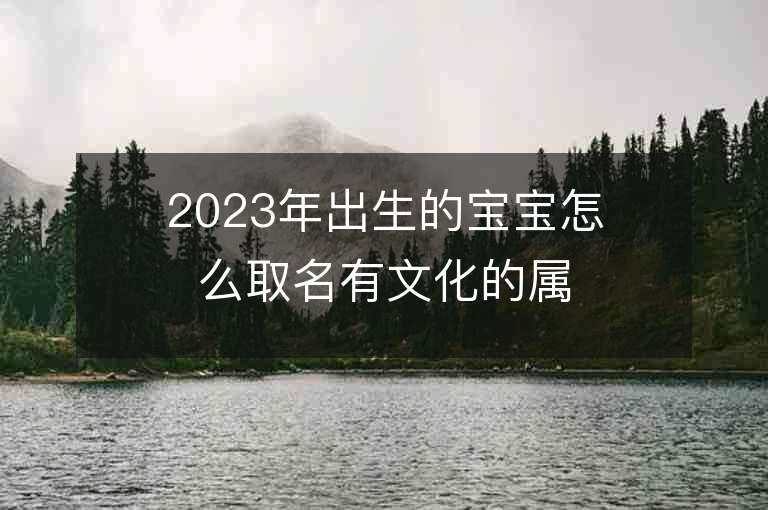 2023年出生的寶寶怎么取名有文化的屬兔新生兒名字推薦