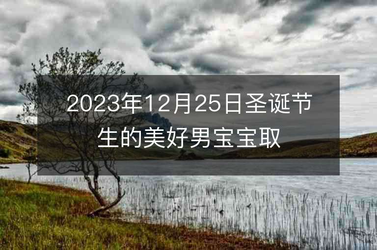 2023年12月25日圣誕節生的美好男寶寶取名字推薦