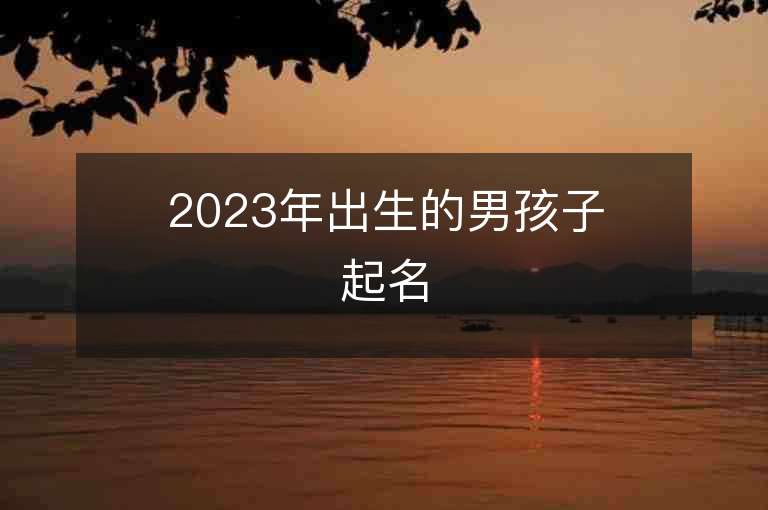 2023年出生的男孩子起名