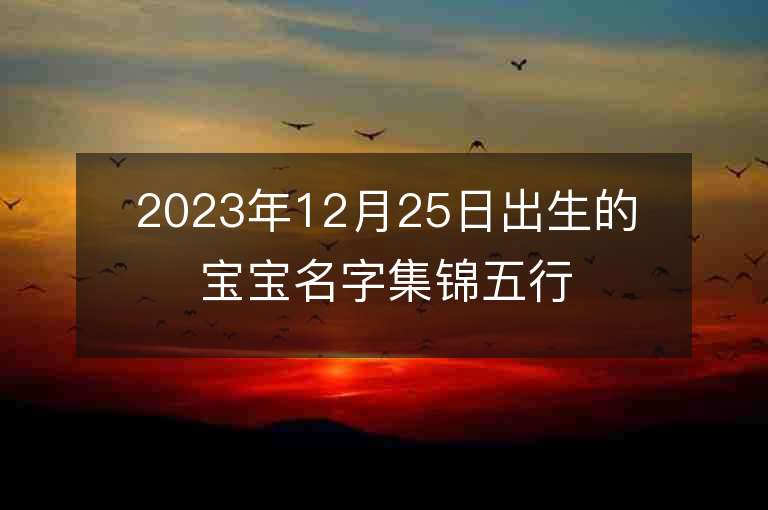 2023年12月25日出生的寶寶名字集錦五行缺金火女孩子起名用字推薦