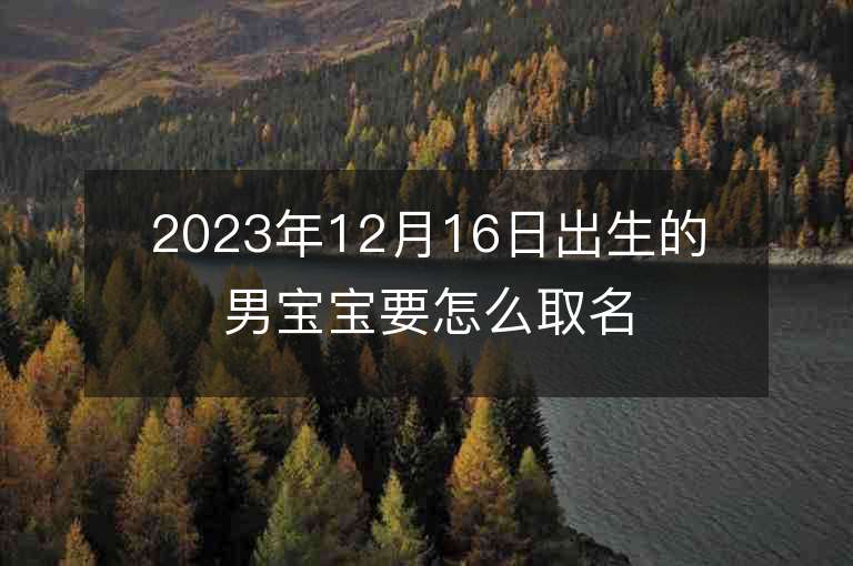 2023年12月16日出生的男寶寶要怎么取名起名方法