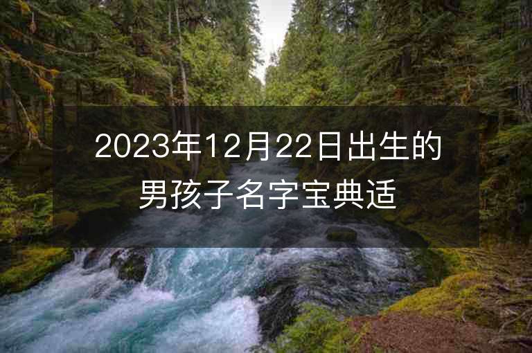 2023年12月22日出生的男孩子名字寶典適合男寶的名字推薦