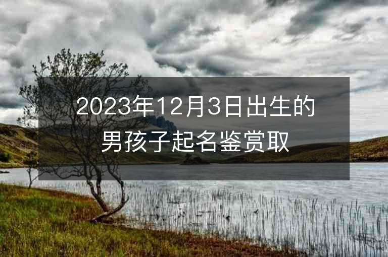 2023年12月3日出生的男孩子起名鑒賞取名宜用字