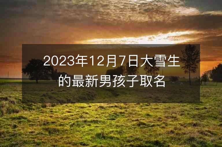 2023年12月7日大雪生的最新男孩子取名推薦